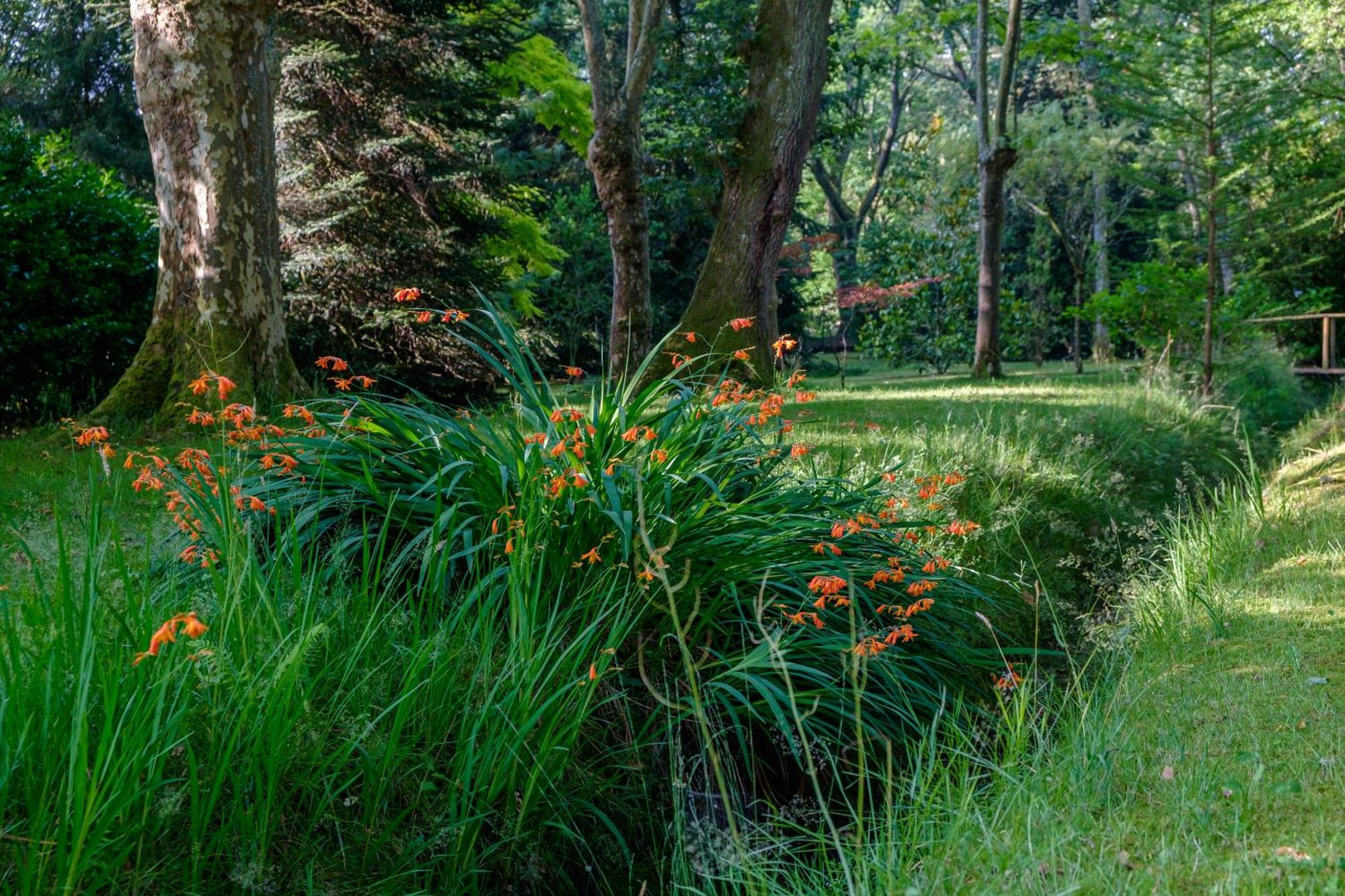 Parc De L'Aiguade Saint-Paul-lès-Dax Exterior foto