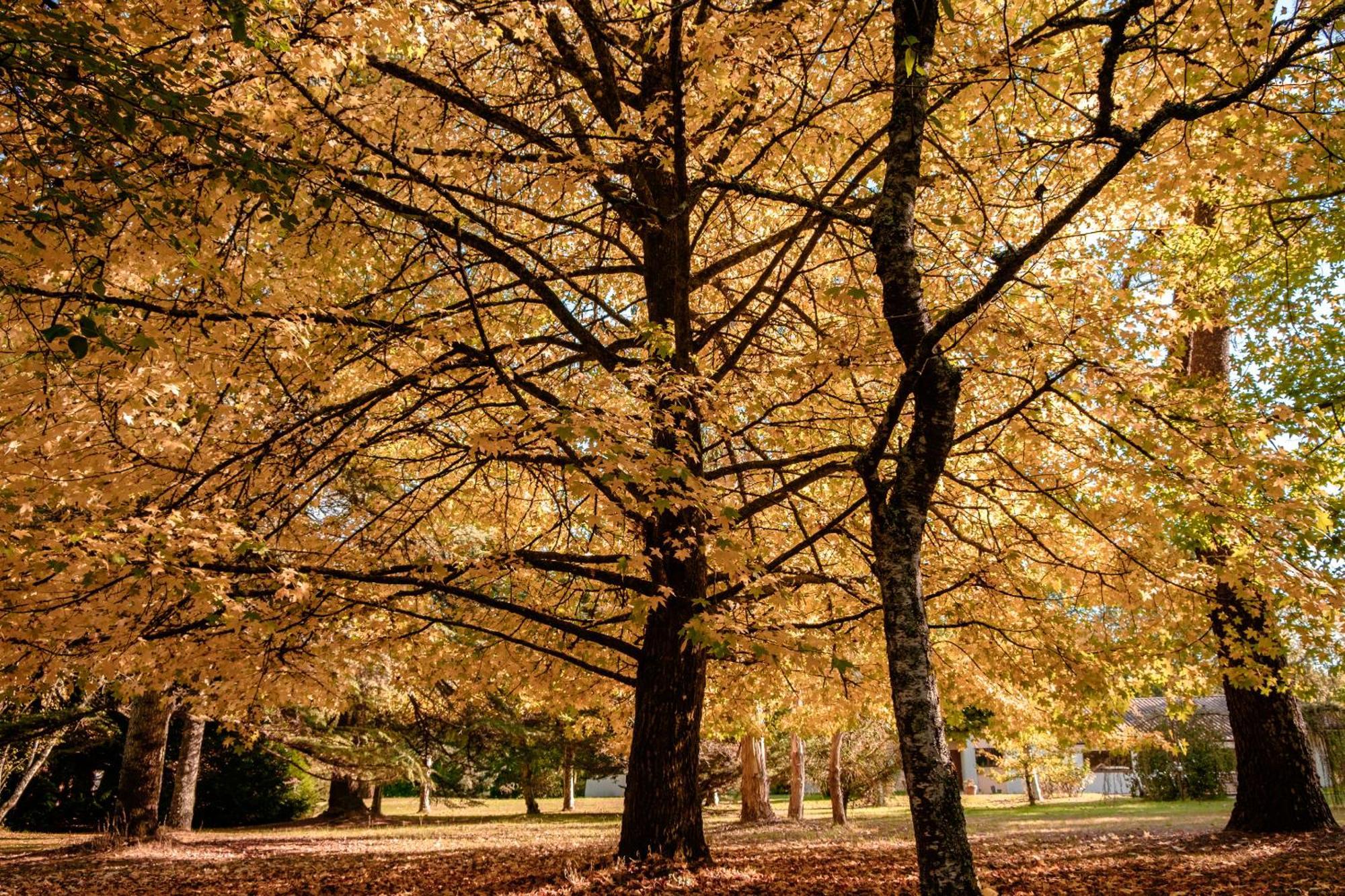 Parc De L'Aiguade Saint-Paul-lès-Dax Exterior foto