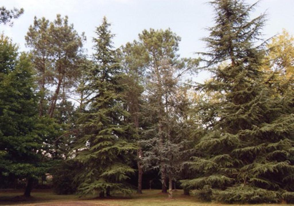 Parc De L'Aiguade Saint-Paul-lès-Dax Exterior foto